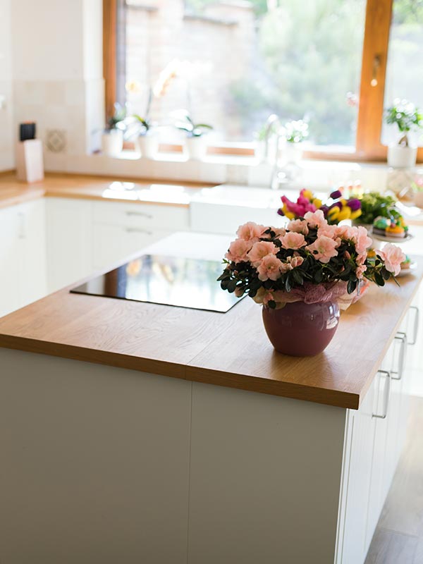 Clean Kitchen